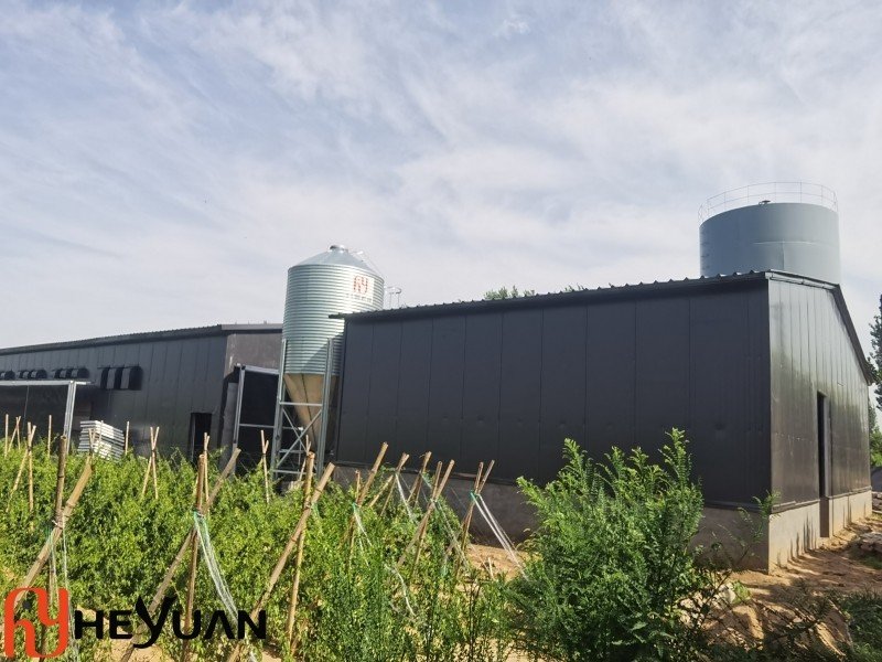Automatic Poultry Feeding System on a Real Farm
