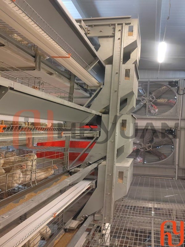 Automatic poultry feeding system in a commercial chicken farm