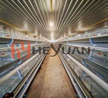 A-Type Layer Cage System – 4 Rows, 3 Tiers | Heyuan Factory Direct