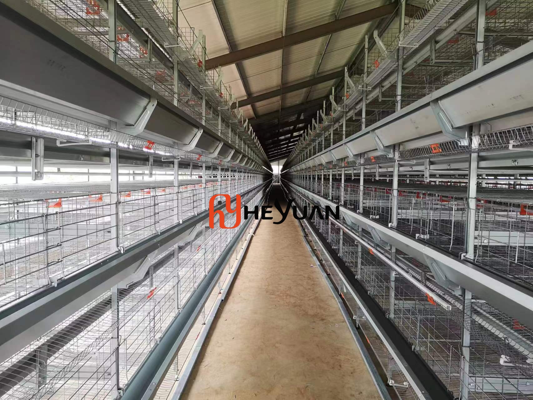 poultry farm equipment